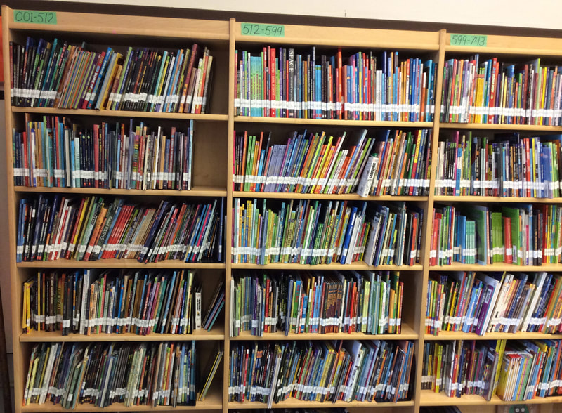 Books shelves inside the Library.